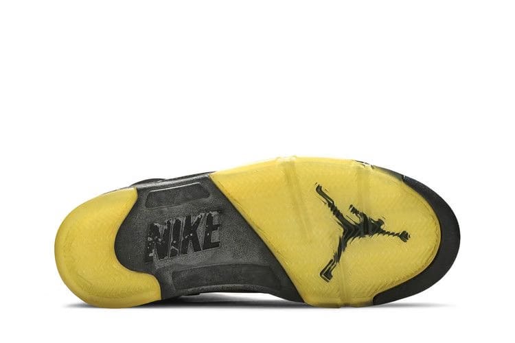 Air Jordan 5 Retro Metallic 2000