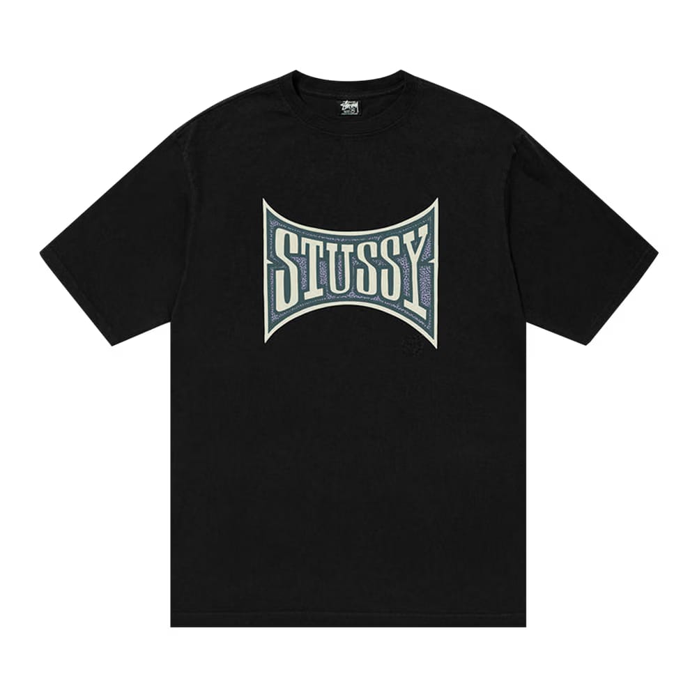 Stussy Champion Pigment Dyed T-Shirt Black