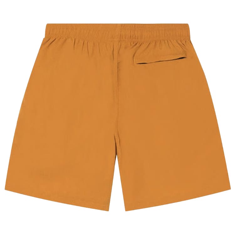 Stussy Curly S Water Shorts Curry