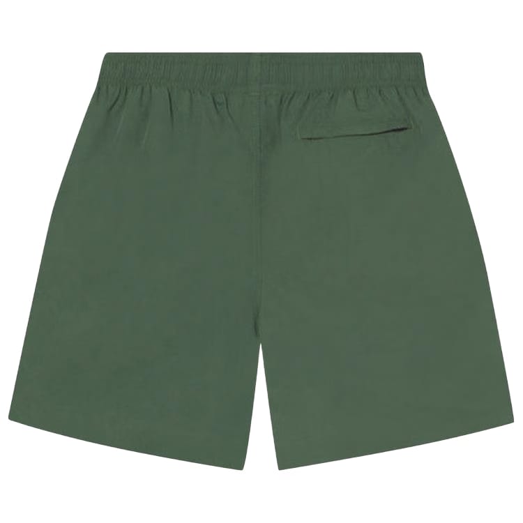 Stussy Curly S Water Shorts Pine