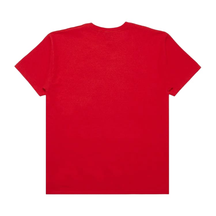 Stussy World Tour Birds T-Shirt Brite Red