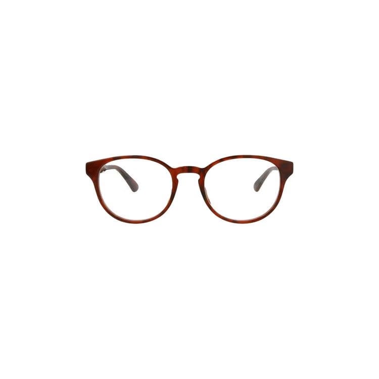 Gucci Round Sunglasses Havana/Transparent