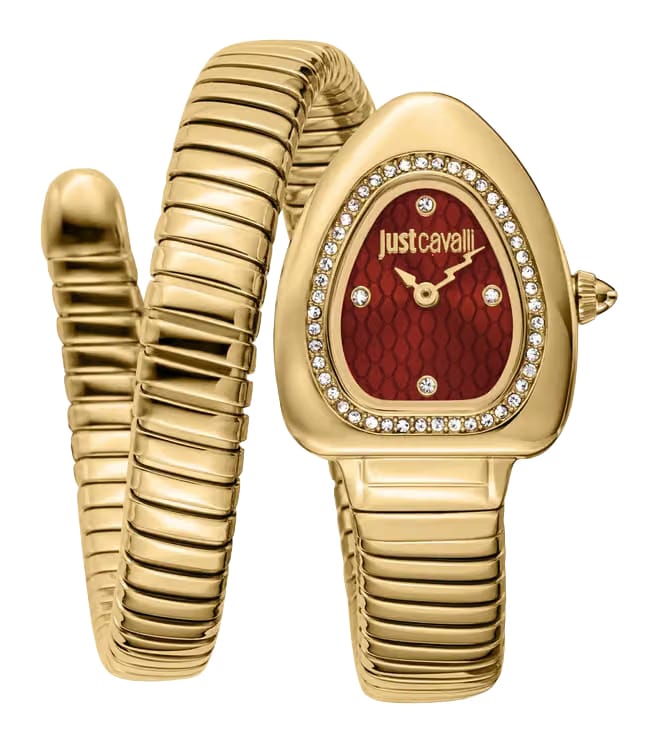 Just Cavalli JC1L249M0025 Analog Watch for Women
