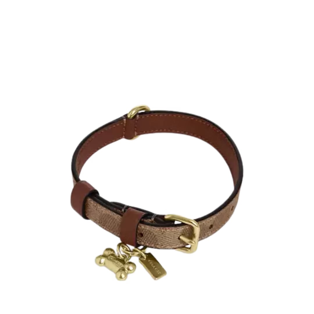 Boxed Small Pet Collar In Signature Canvas signature canvas/Gold/Tan/Brown