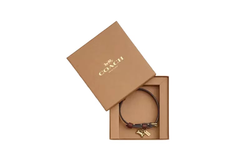 Boxed Small Pet Collar In Signature Canvas signature canvas/Gold/Tan/Brown