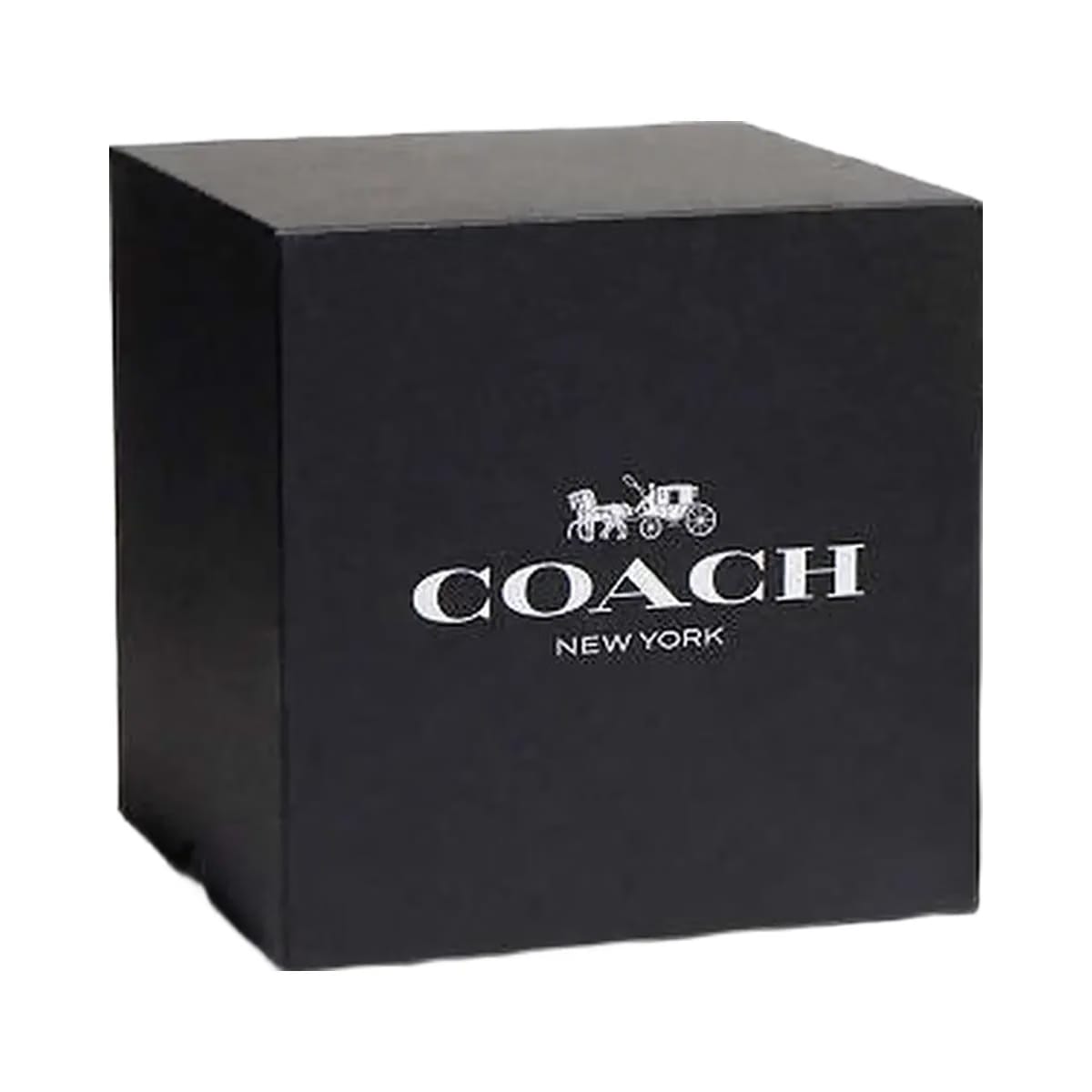 Coach Coach Candle Clear Multi