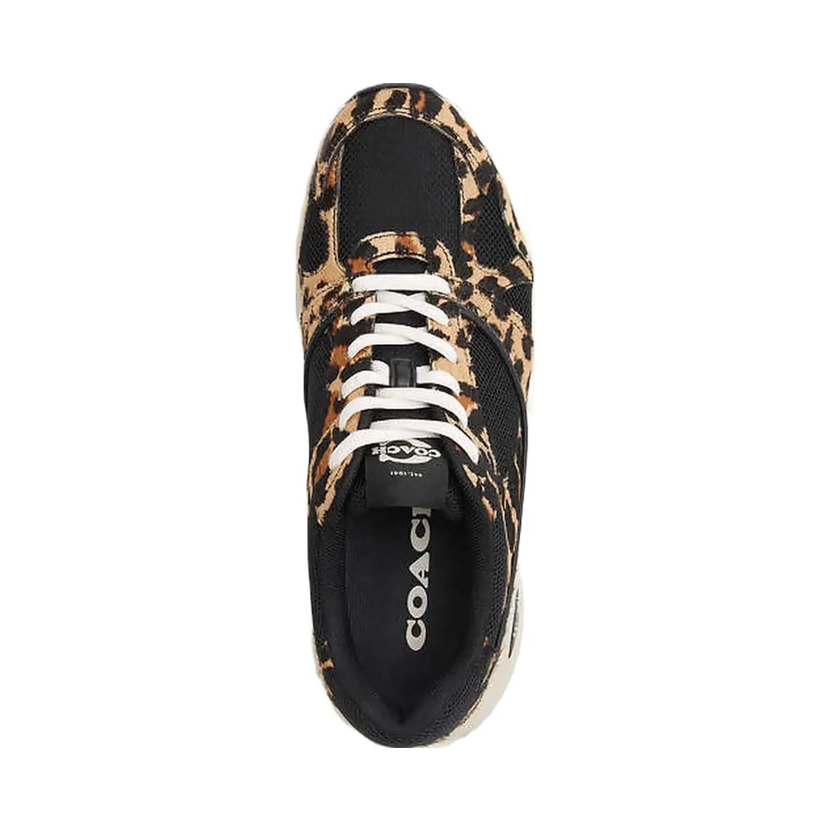Coach Sport Sneaker With Leopard Print Black-Leopard