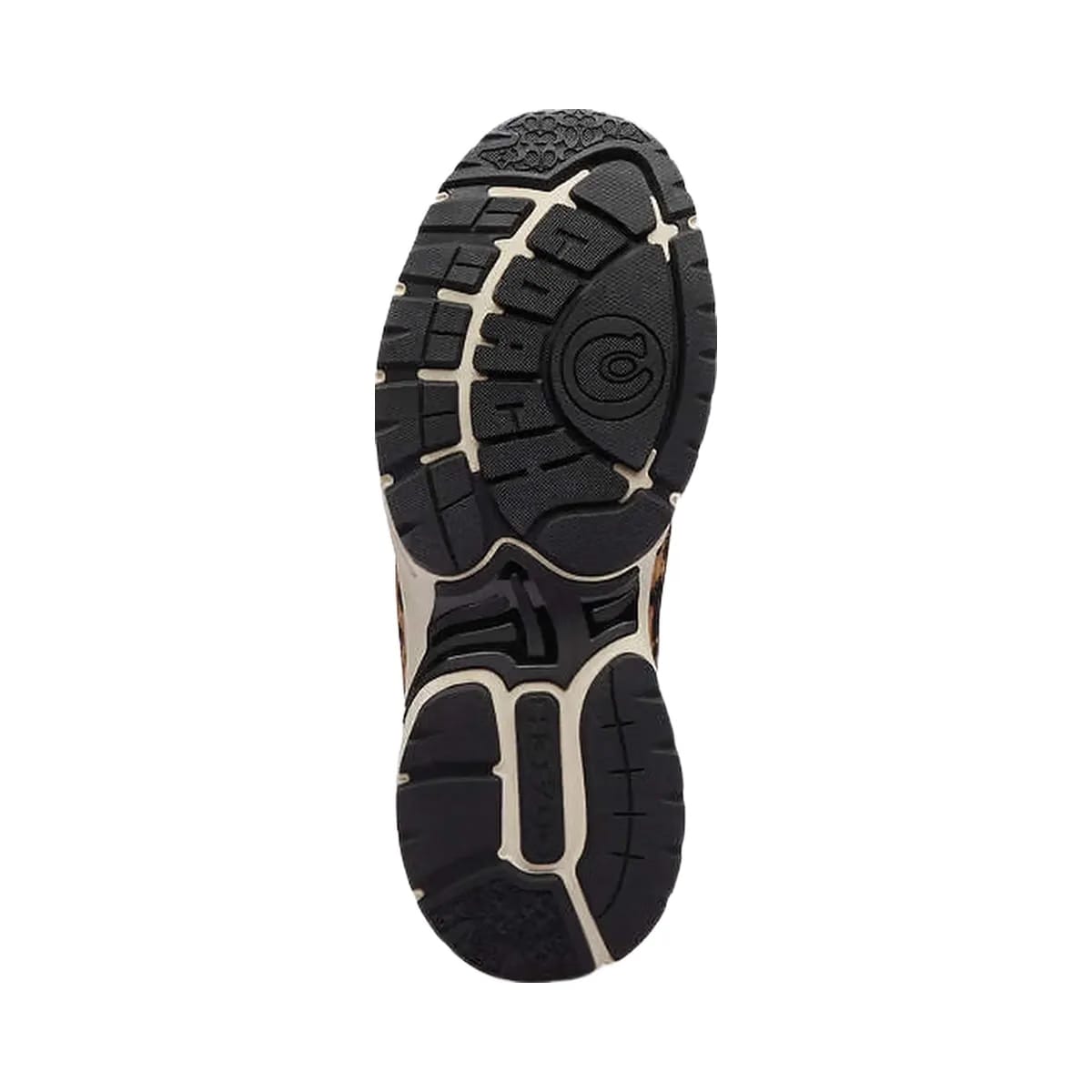Coach Sport Sneaker With Leopard Print Black-Leopard