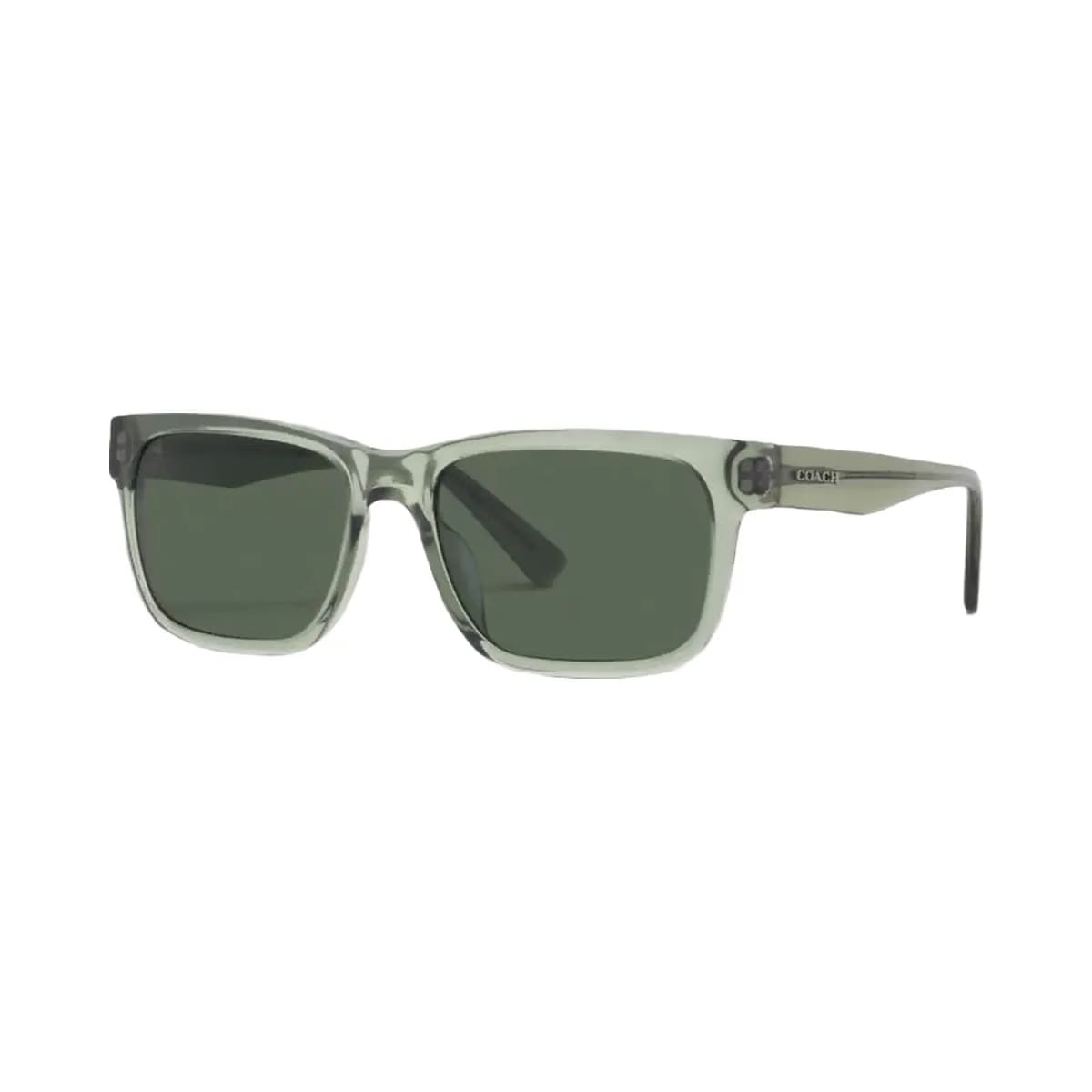 Coach Square Frame Sunglasses Transparent Green