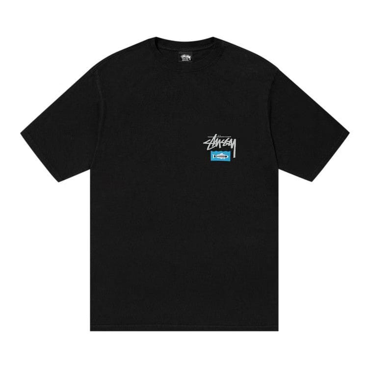Stussy Heal The Bay Pigment Dyed Summit To Sea T-Shirt Black