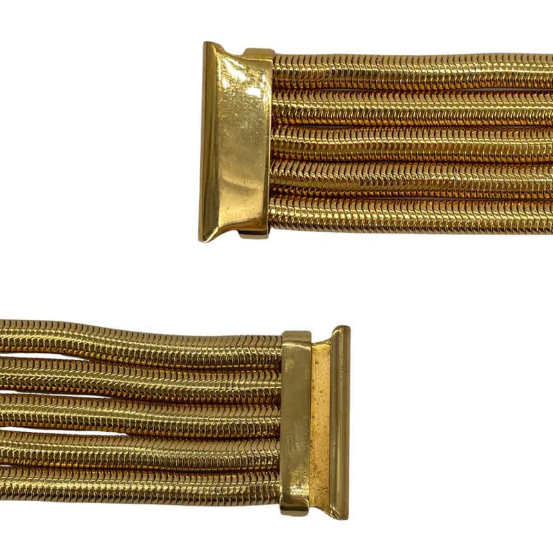 C545 - CHANEL Gold Gold-Mesh Multi Strand Chain Tortoise CC Logo Spring Belt