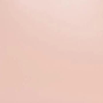 MINI SHIRLEY LEATHER BAG BLUSH