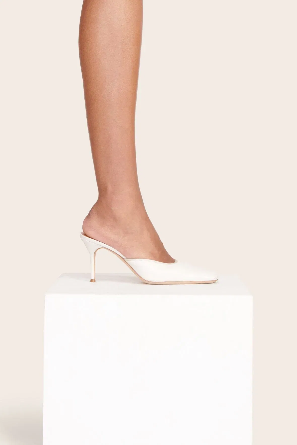 OTTO MULE PAPER