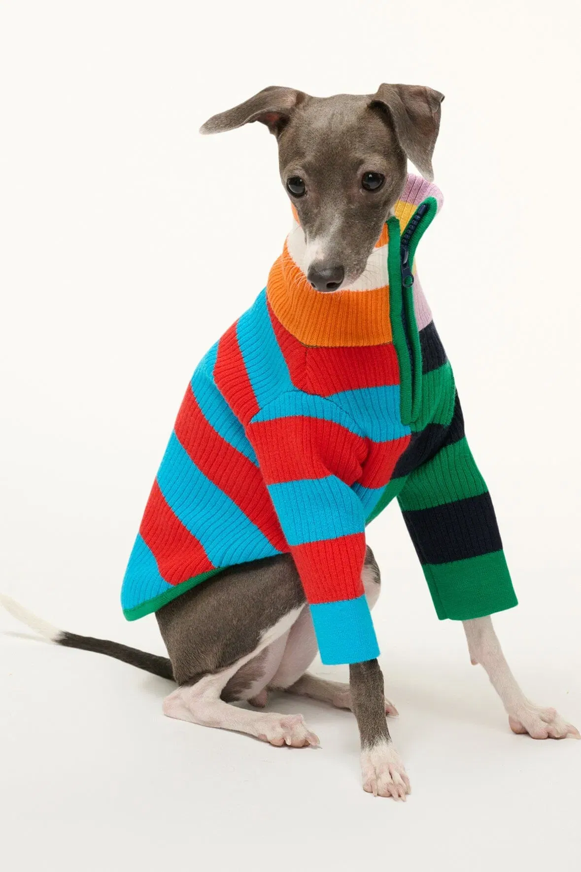 PET HAMPTON SWEATER CABANA STRIPE MULTI