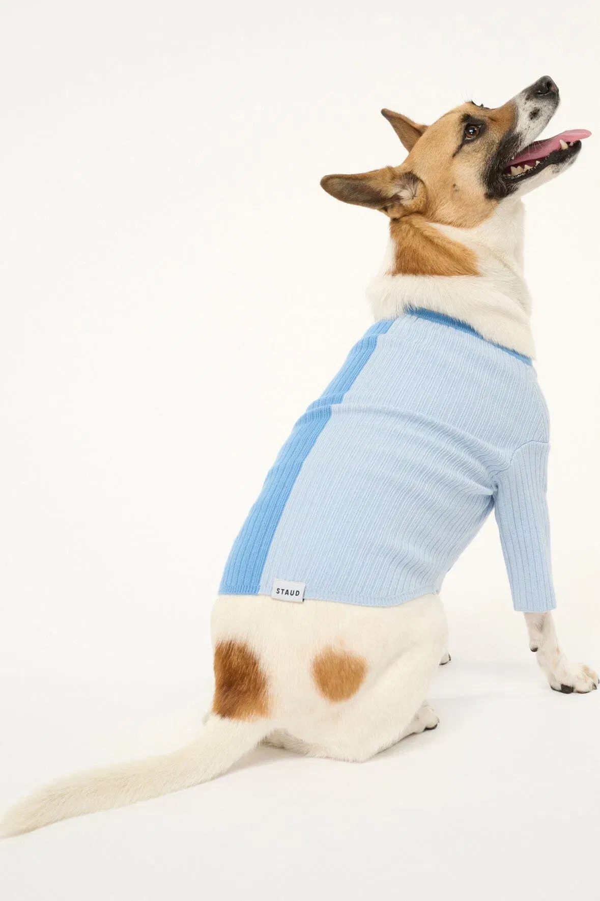 PET SHOKO SWEATER PERIWINKLE MULTI