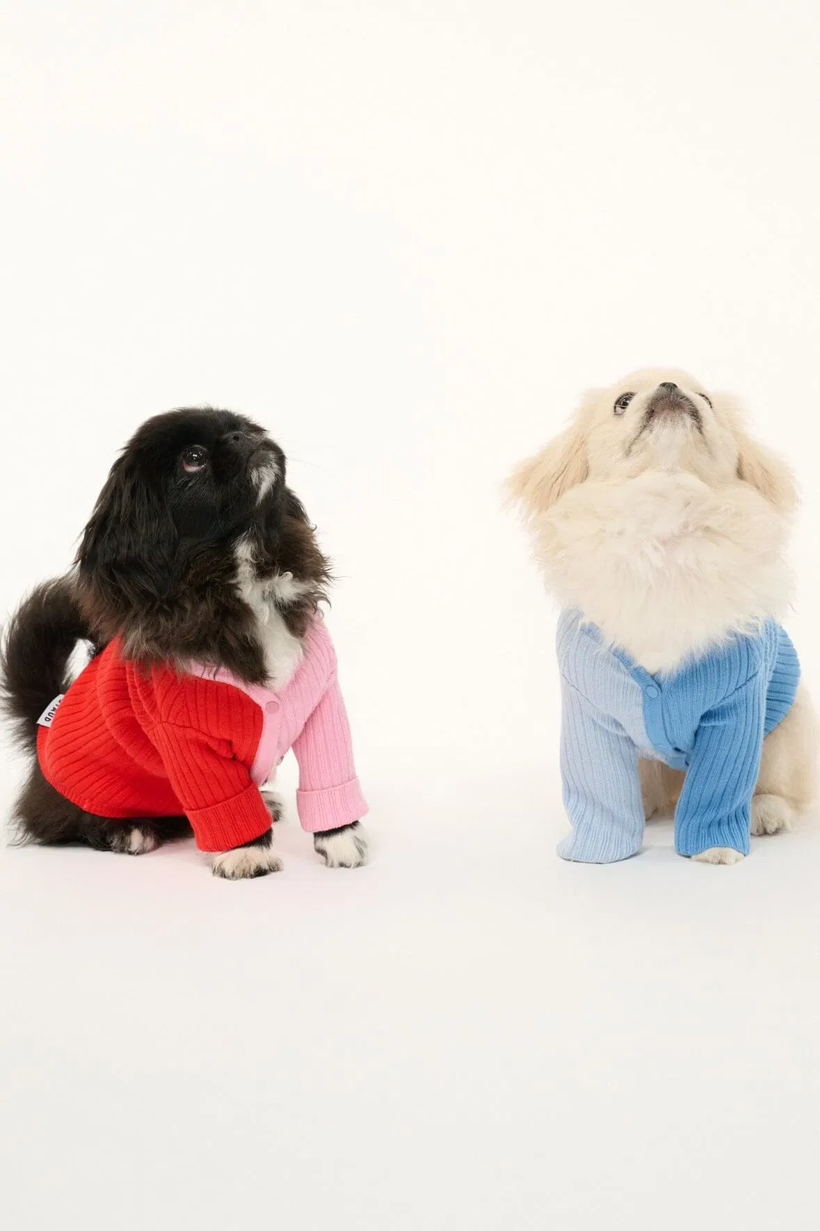 PET SHOKO SWEATER PERIWINKLE MULTI