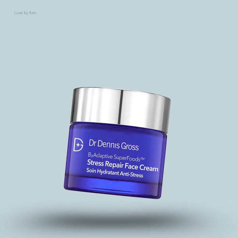 DR DENNIS GROSS SKINCARE B3ADAPTIVE SUPERFOODS STRESS REPAIR FACE CREAM 60ML
