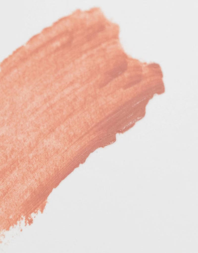 Revolution pro Piece of Cake 101 Creme Lip