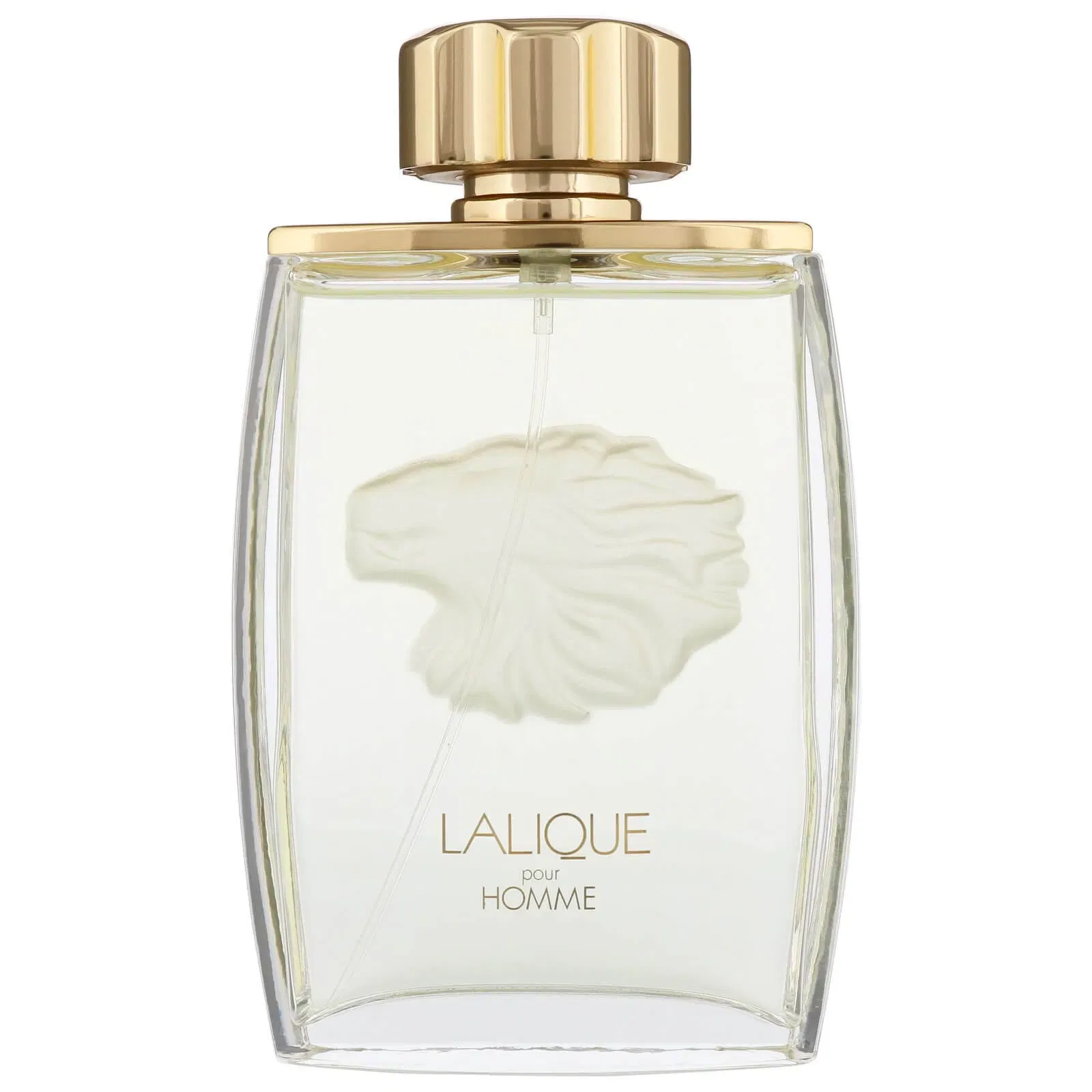 Lalique Pour Homme Lion EDP for Men