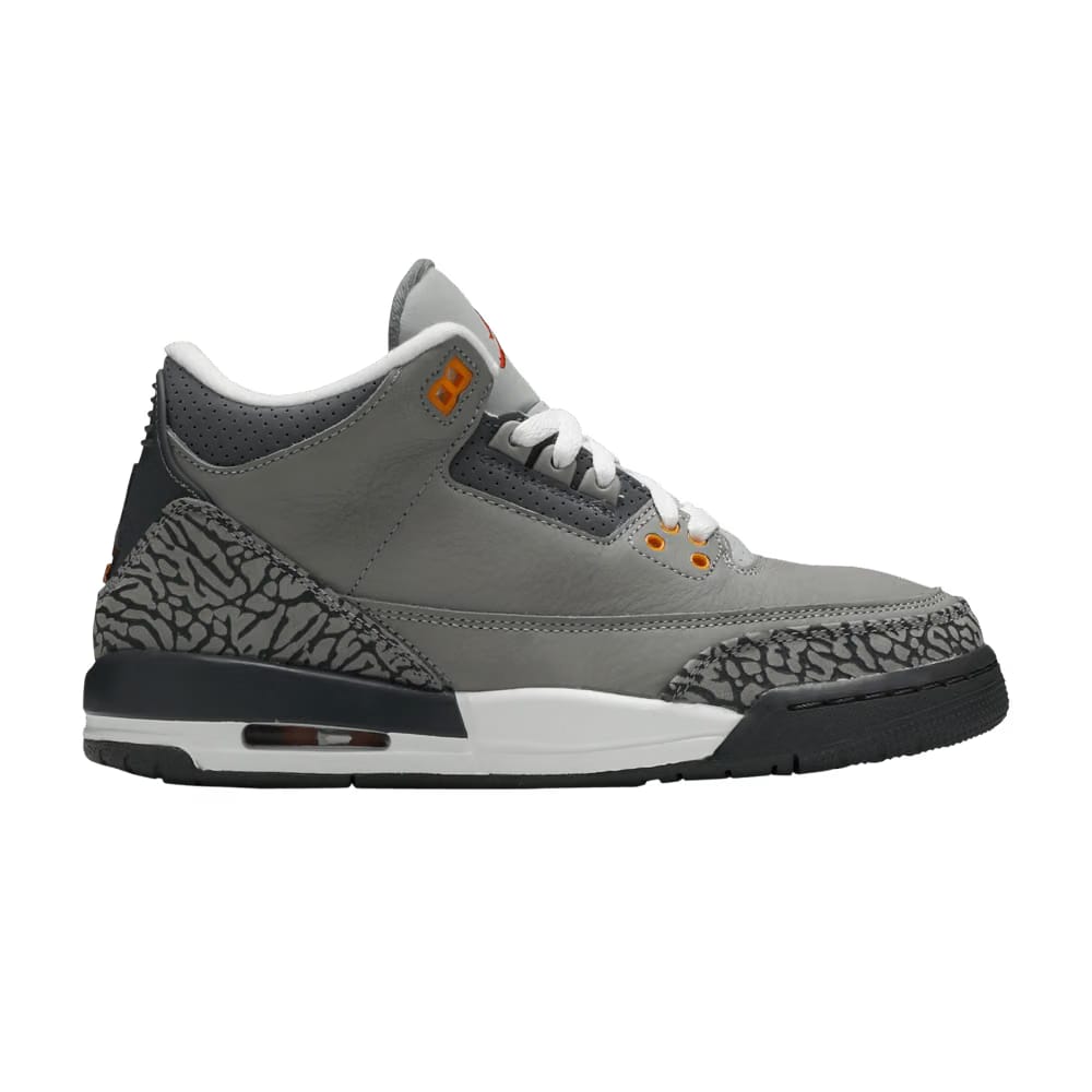 Jordan 3 Retro Cool Grey (2021) (GS)