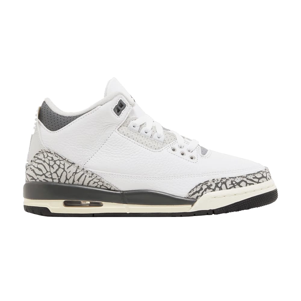 Jordan 3 Retro Hide N' Sneak (GS)