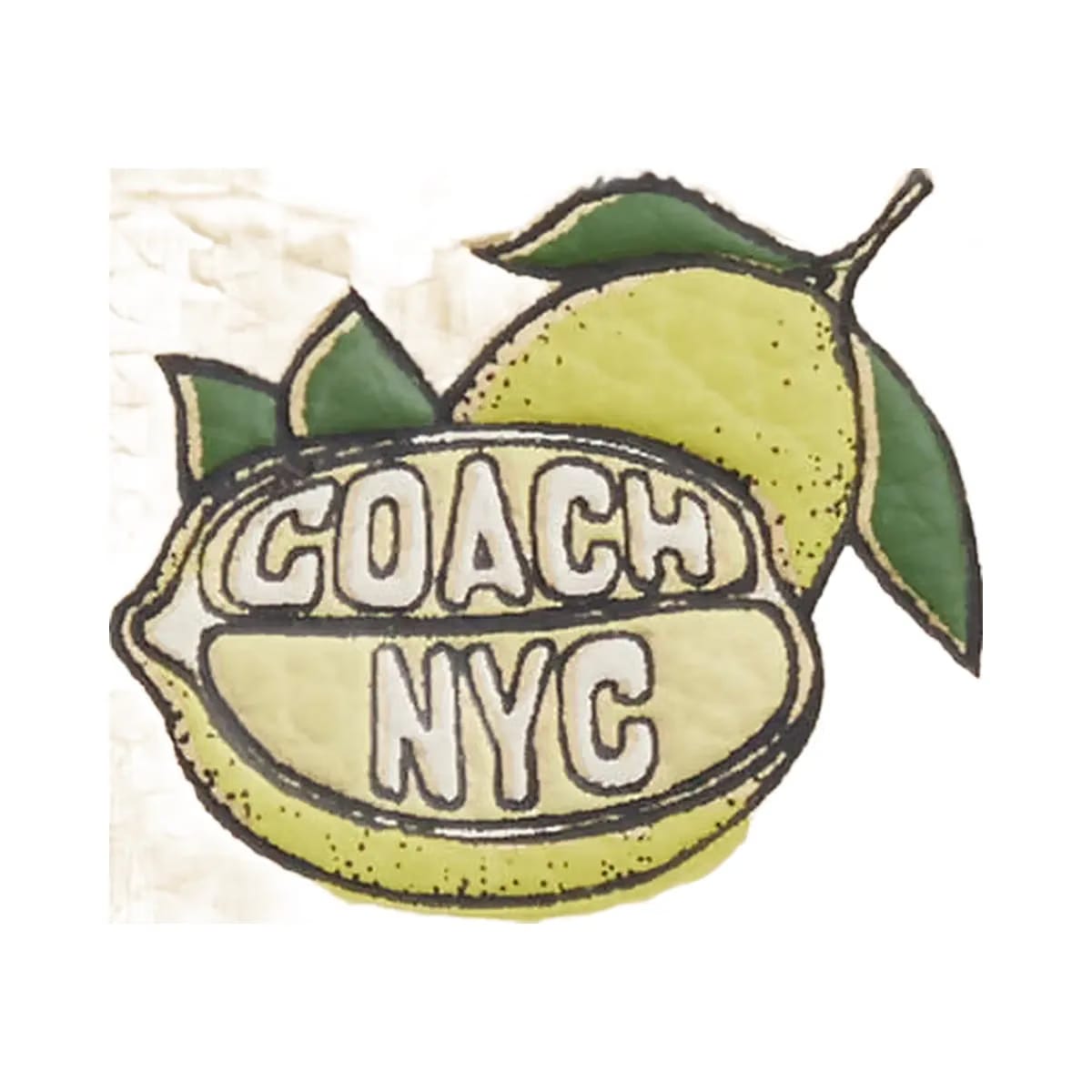 Coach Slim Id Card Case With Lemon Graphic Silver-Moonlight