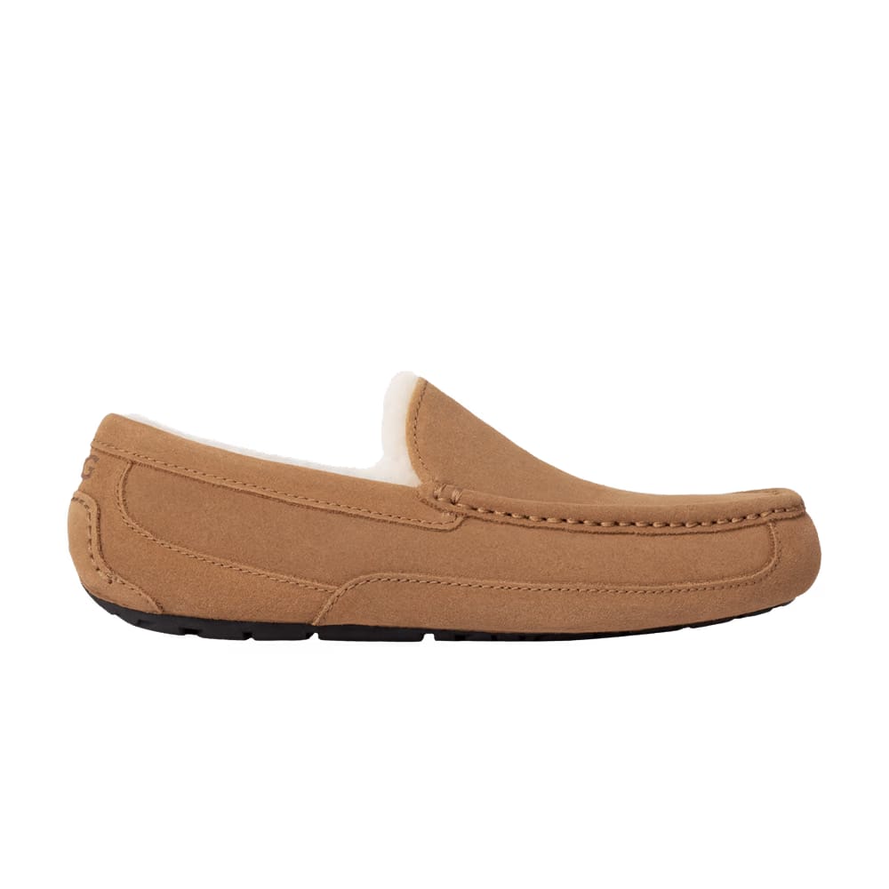 Ugg Ascot Slipper Chestnut