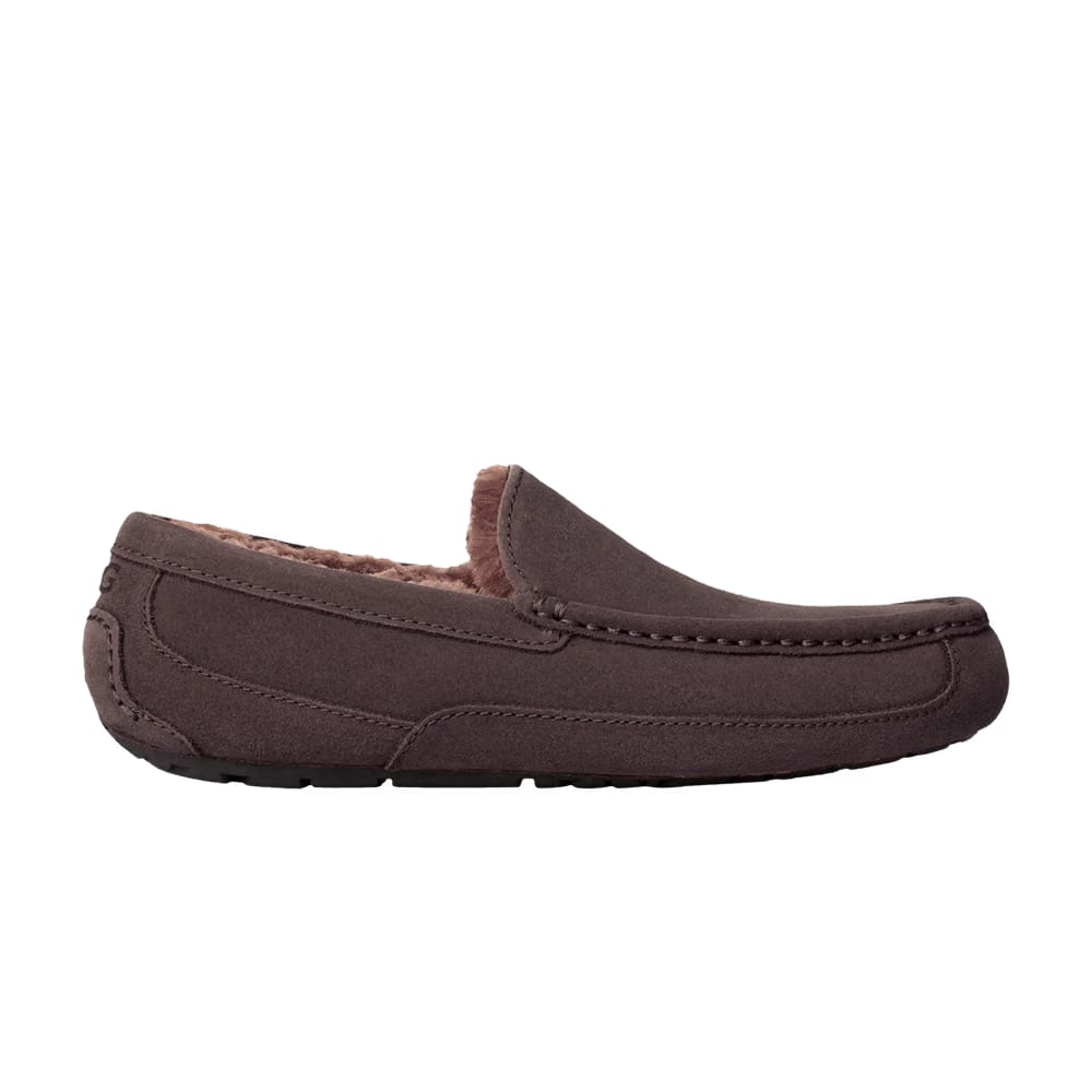 Ugg Ascot Slipper Dusted Cocoa