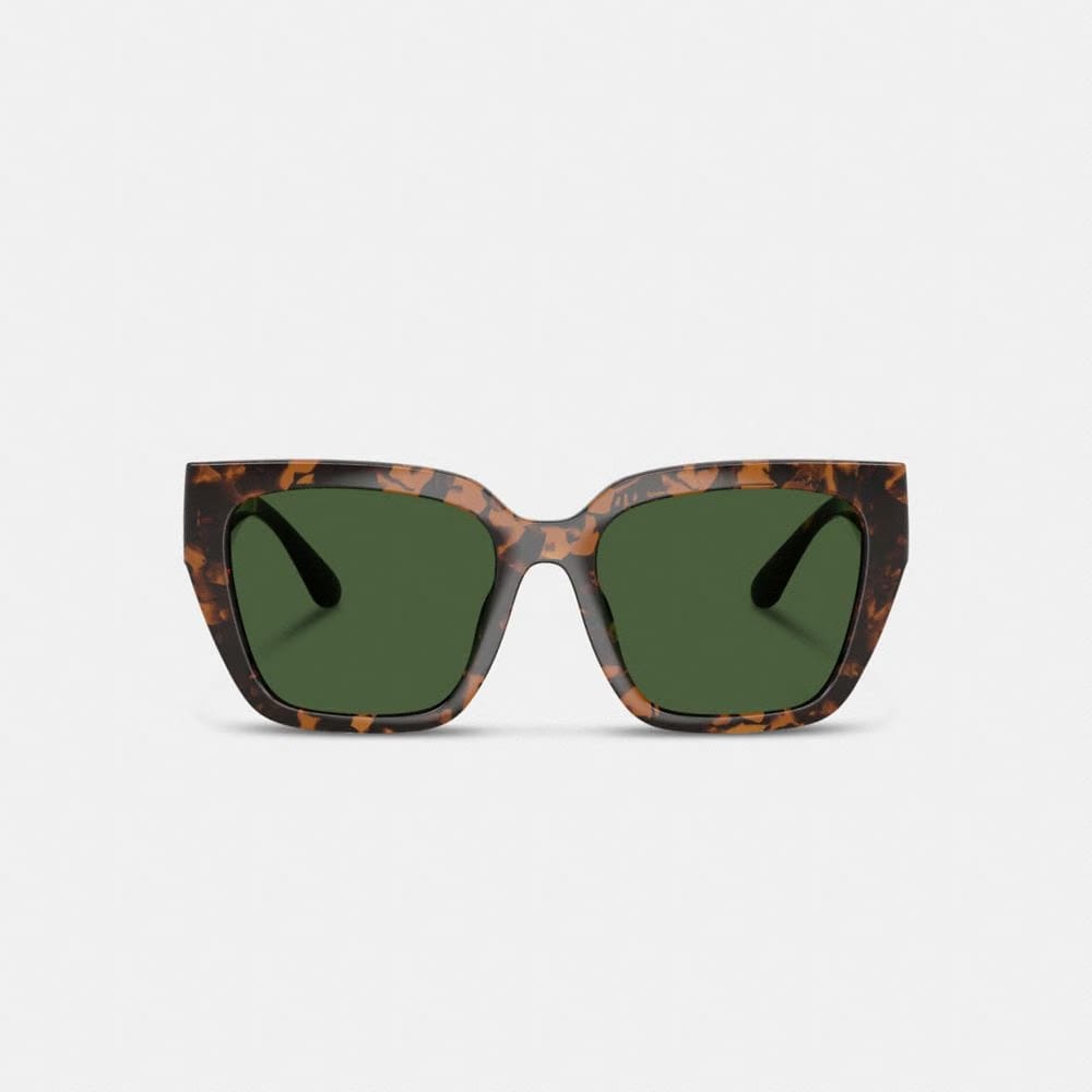 Coach Oversized Cat Eye Sunglasses Dark Tortoise