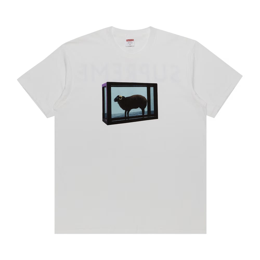 Supreme Damien Hirst T-Shirt White