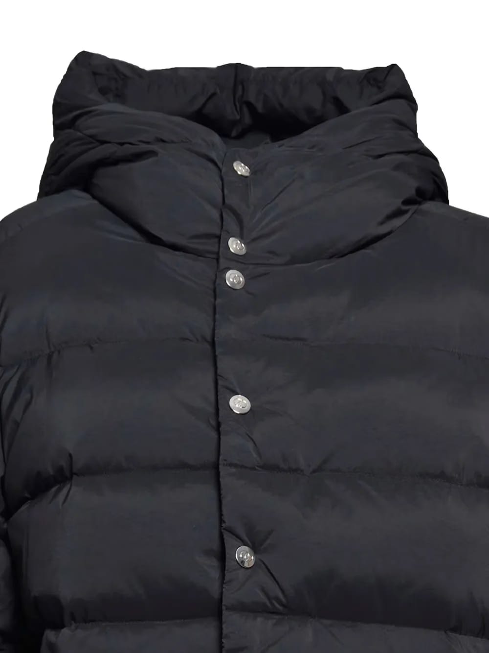 Sirius padded jacket