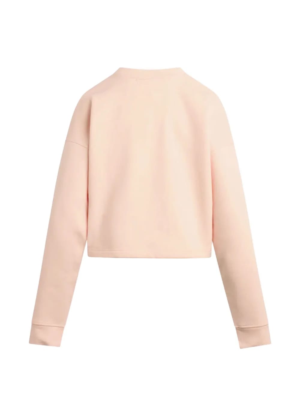 cropped sweatshirt