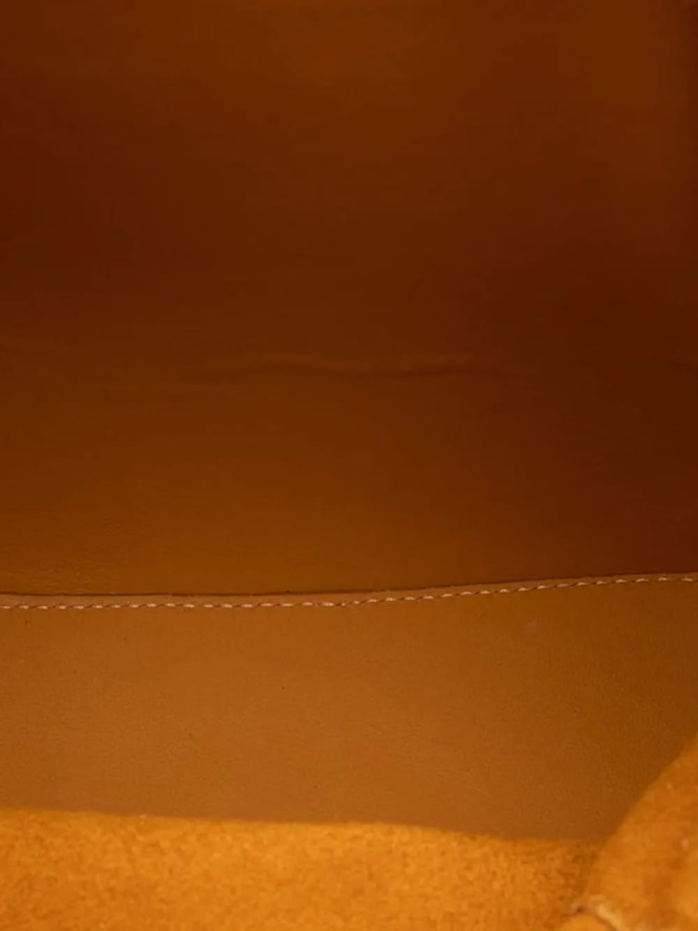 2010-2025 Leather Anton backpack