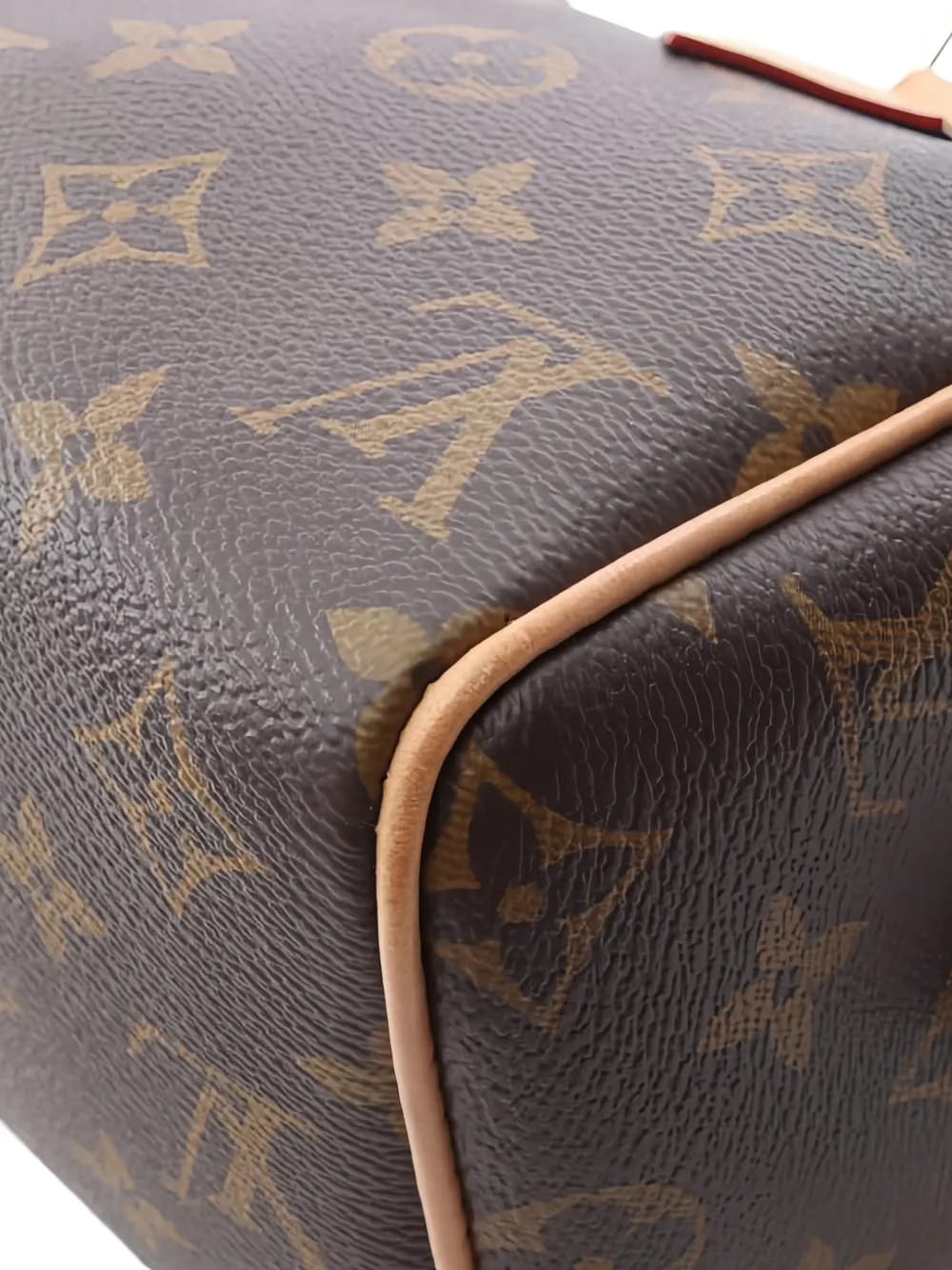 2021 Monogram leather-trim handbag