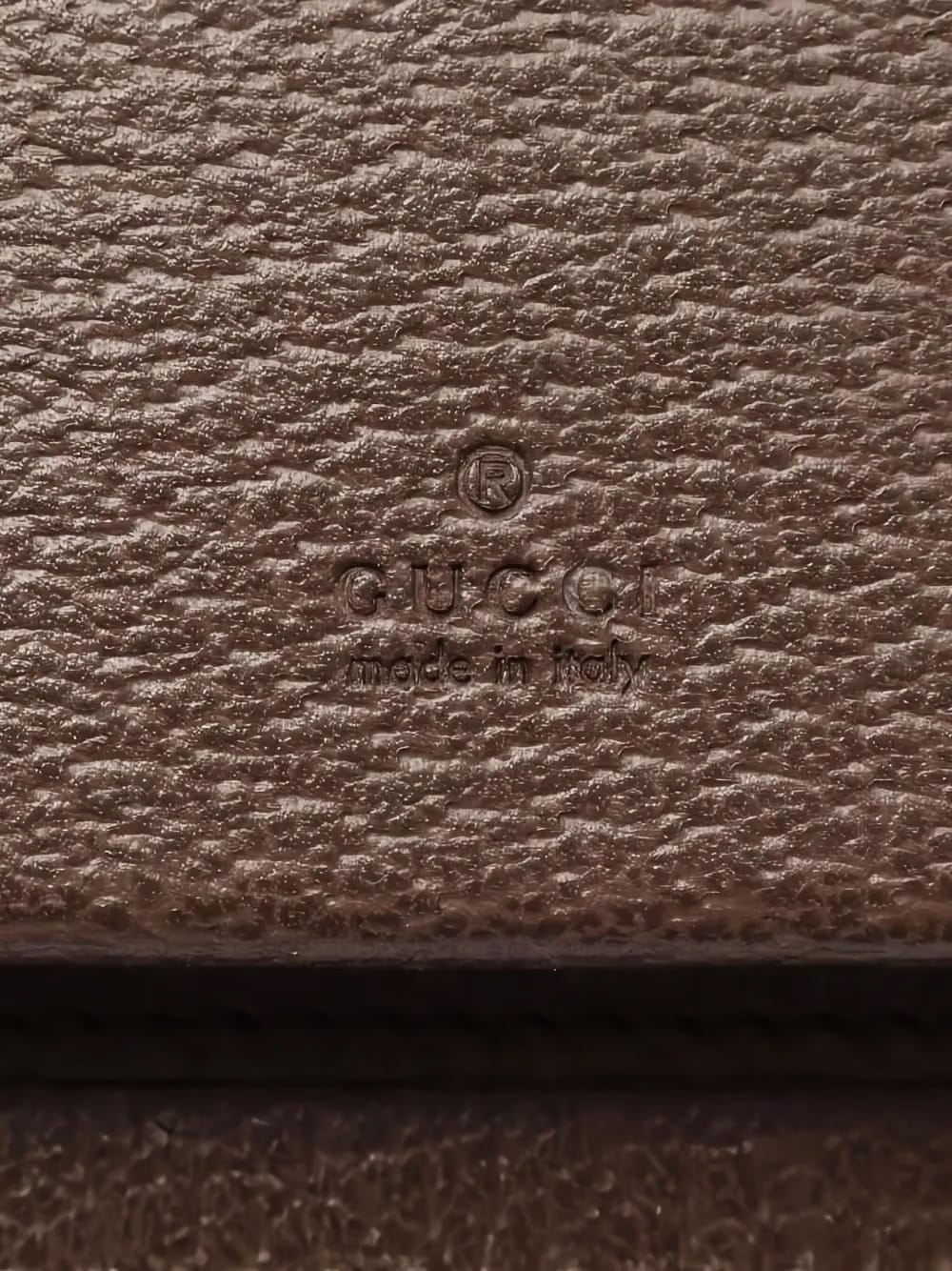 2020s Ophidia zip wallet