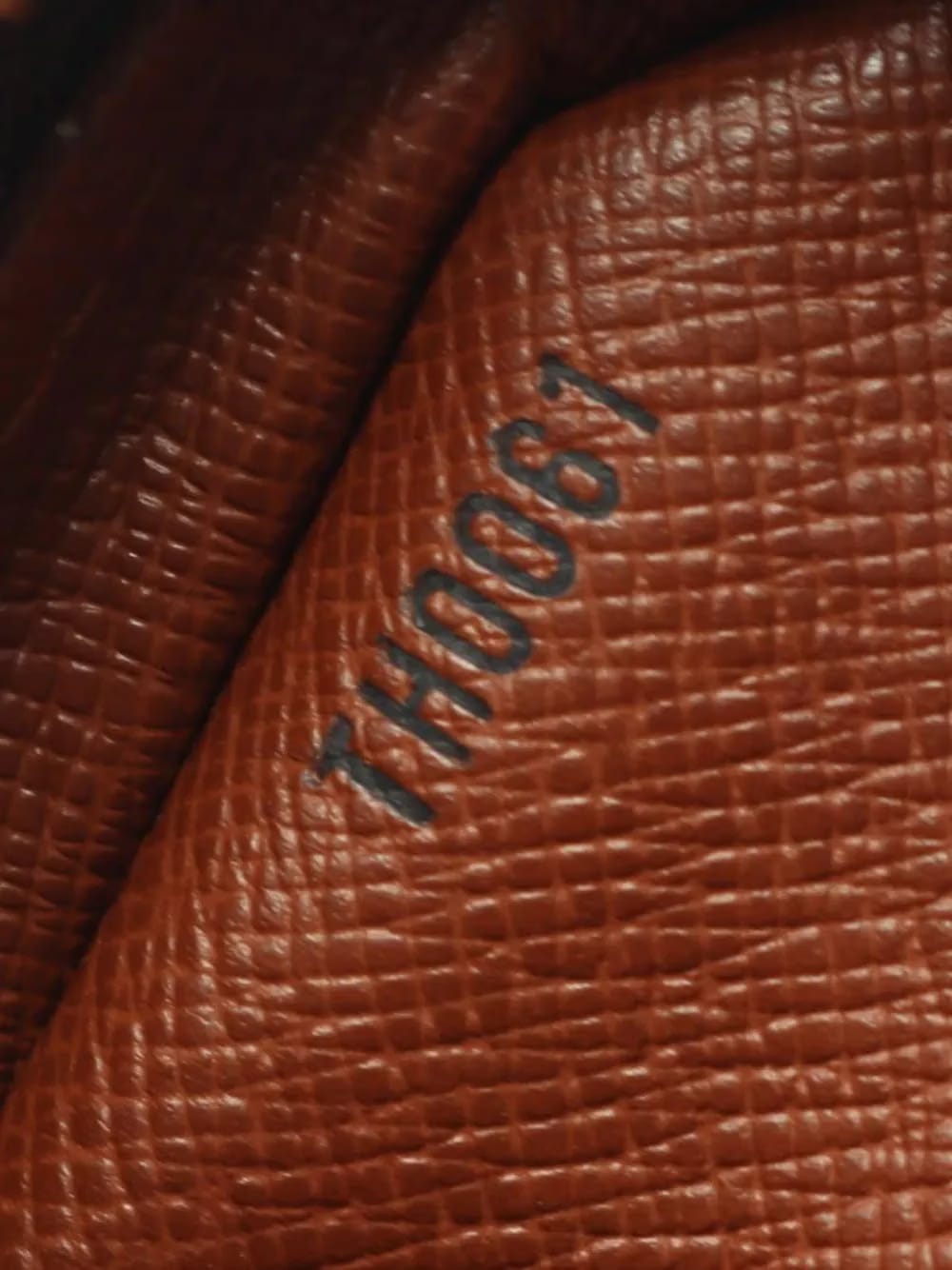 2001 Monogram Amazon shoulder bag