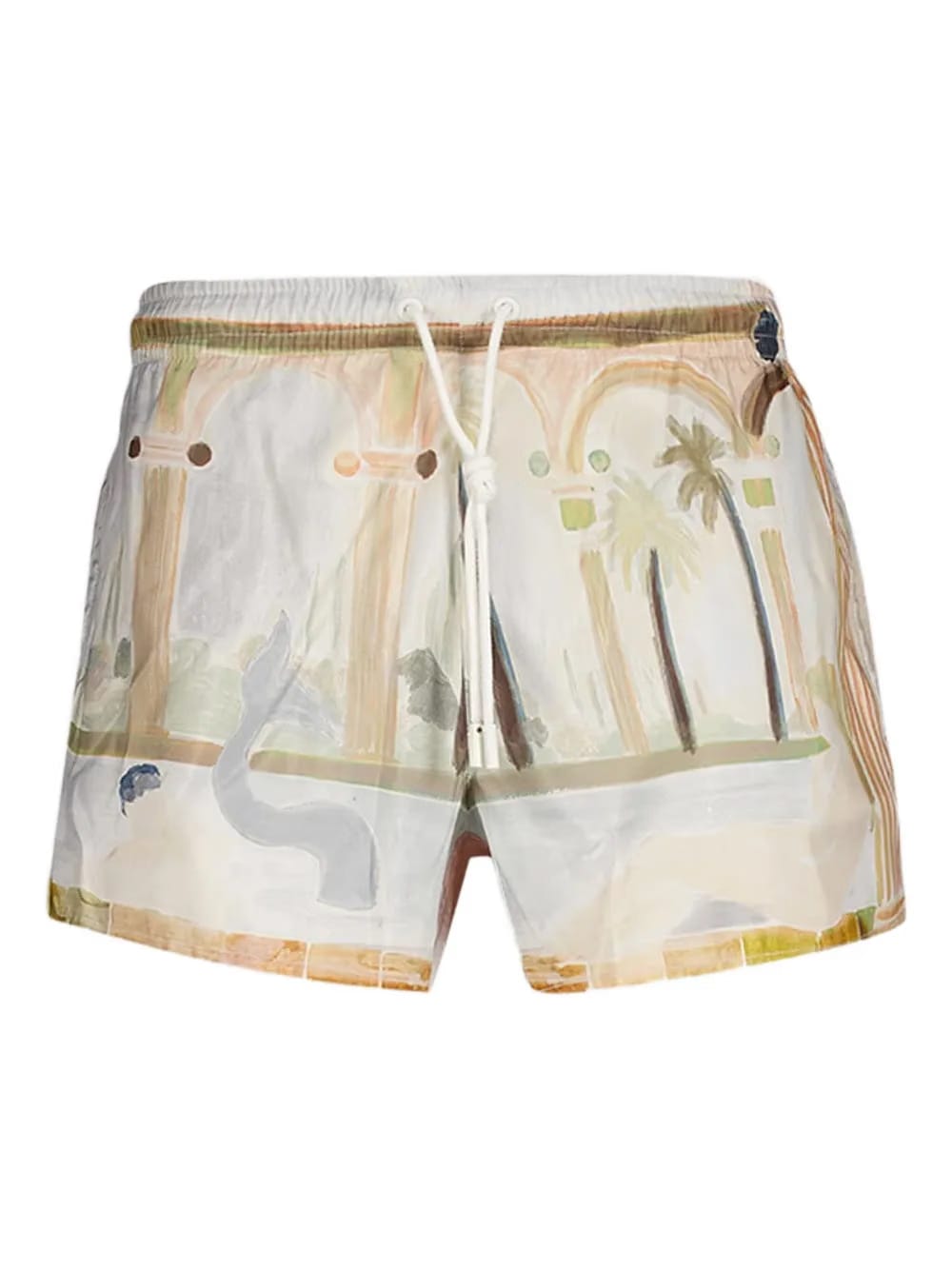 Palm Mirage swim shorts