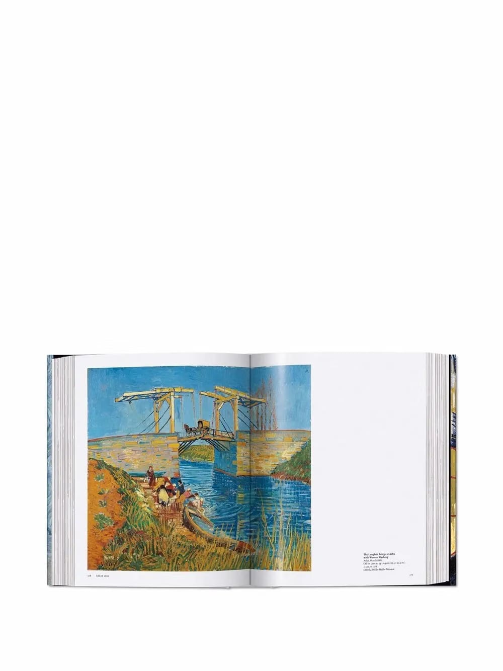 Van Gogh. The Complete Paintings book
