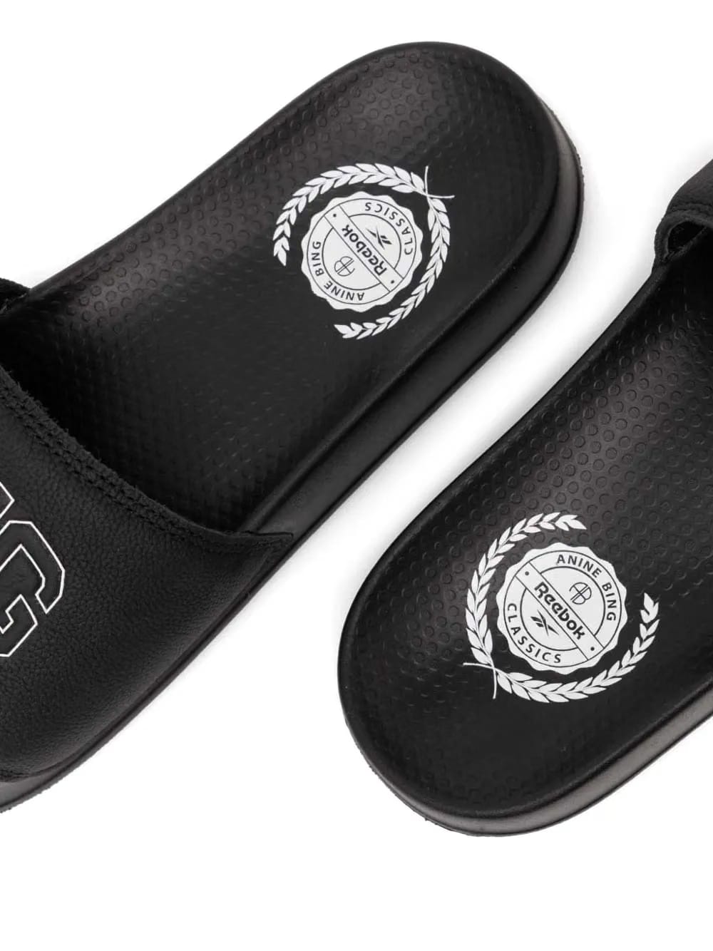 x Anine Bing slides