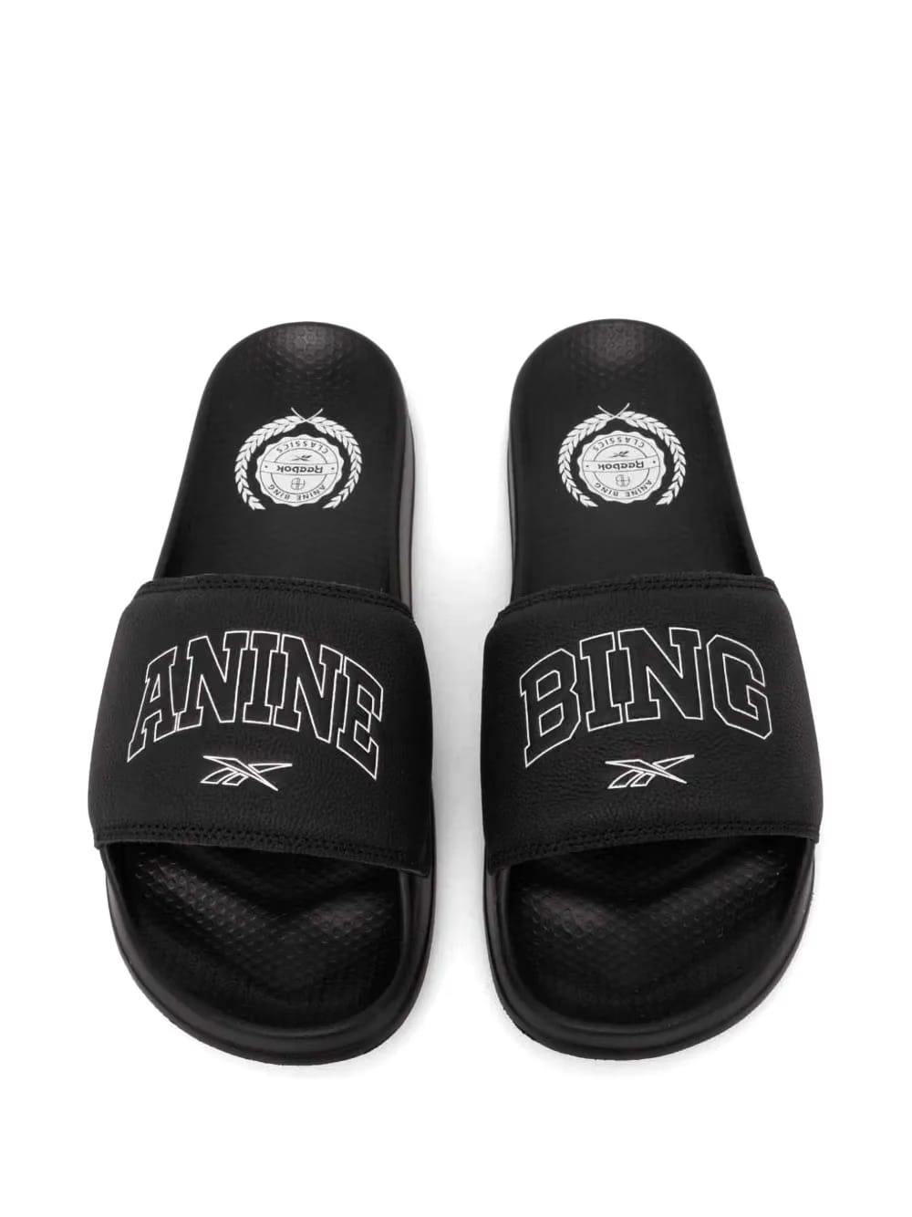 x Anine Bing slides