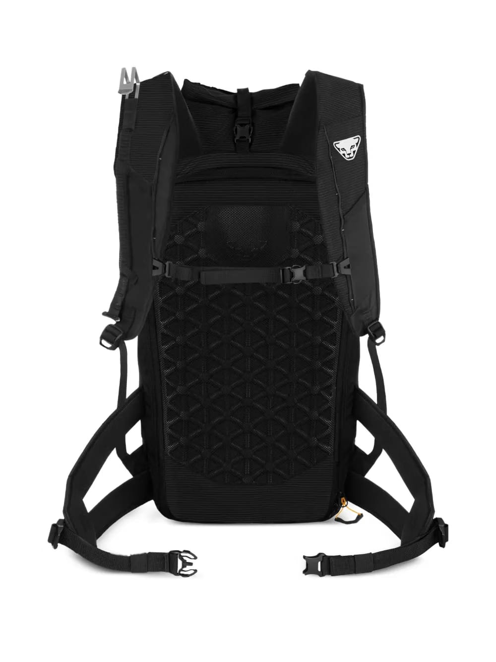 Radical 30+ backpack