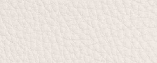 Slim Id Card Case