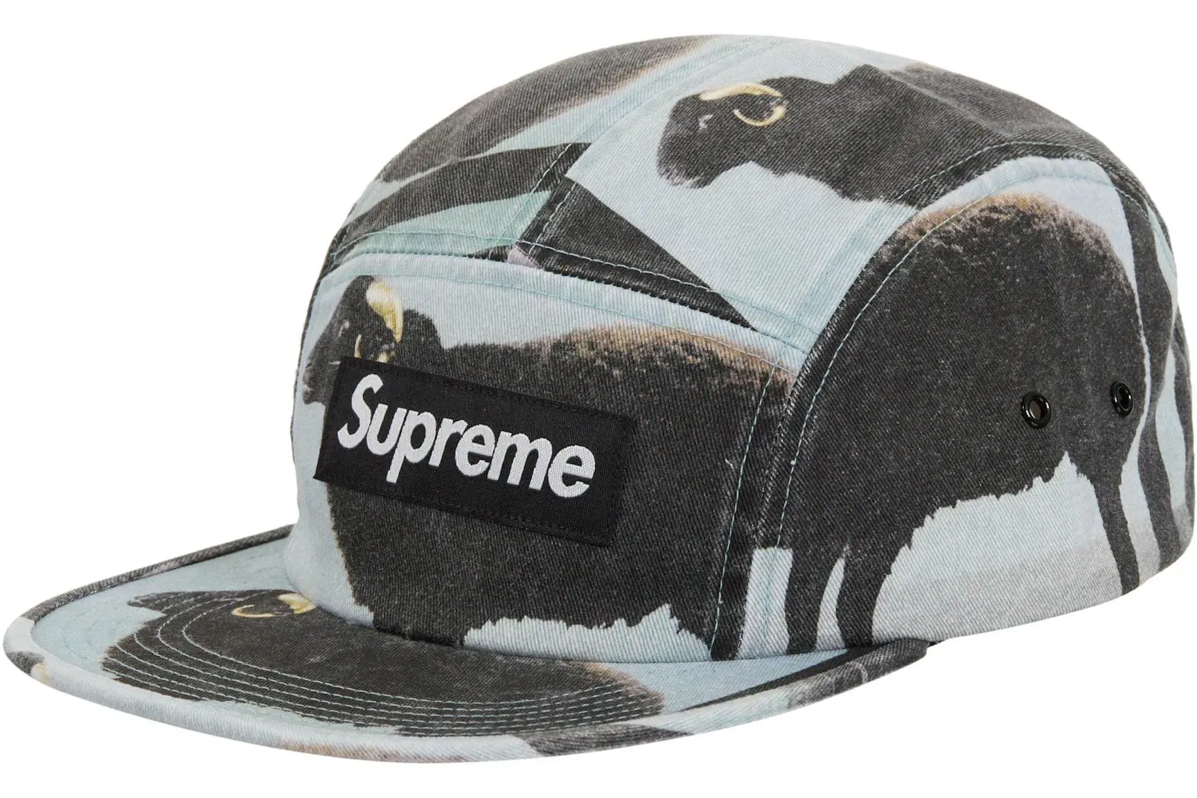 Supreme Damien Hirst Camp Cap Black
