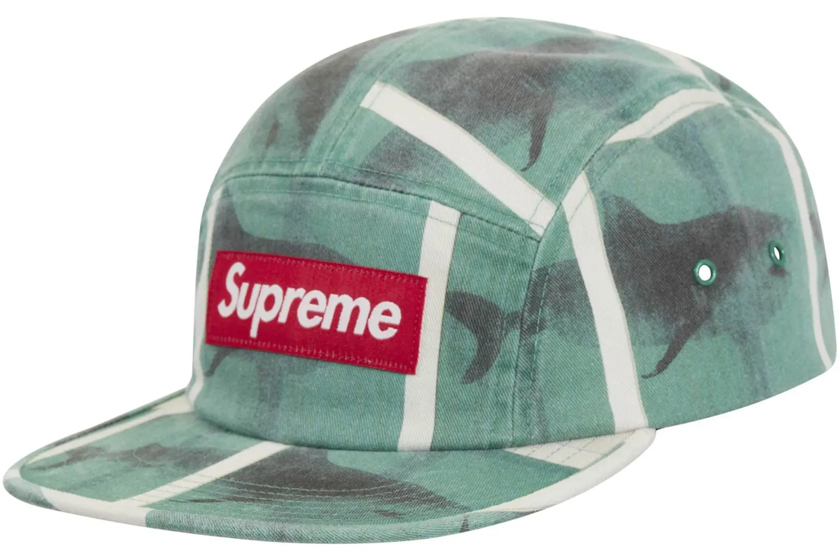 Supreme Damien Hirst Camp Cap White