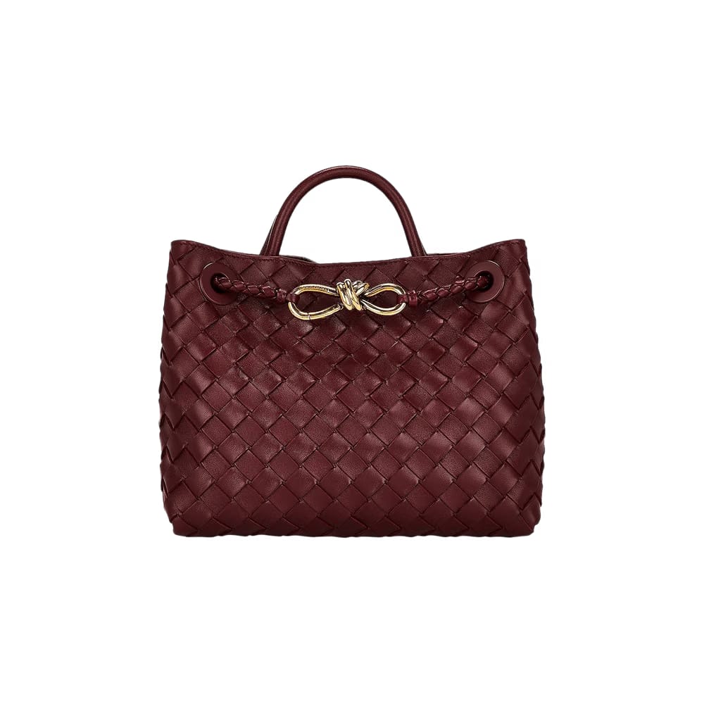 Bottega Veneta Small Andiamo Bag Barolo
