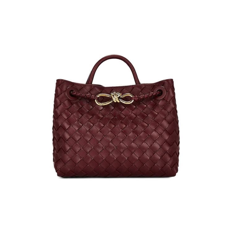 Bottega Veneta Small Andiamo Bag Barolo