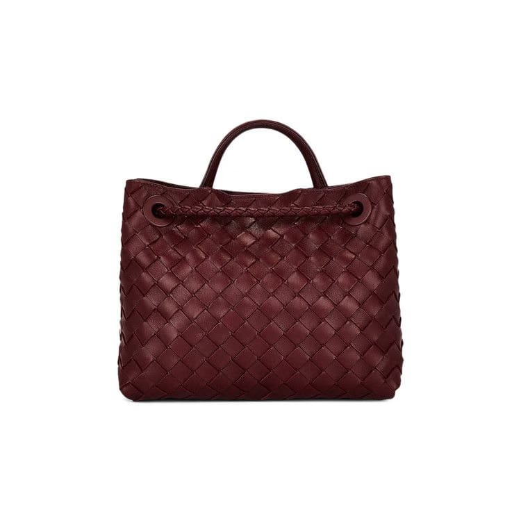 Bottega Veneta Small Andiamo Bag Barolo