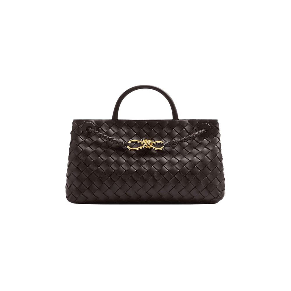 Bottega Veneta East-West Andiamo Bag Fondant