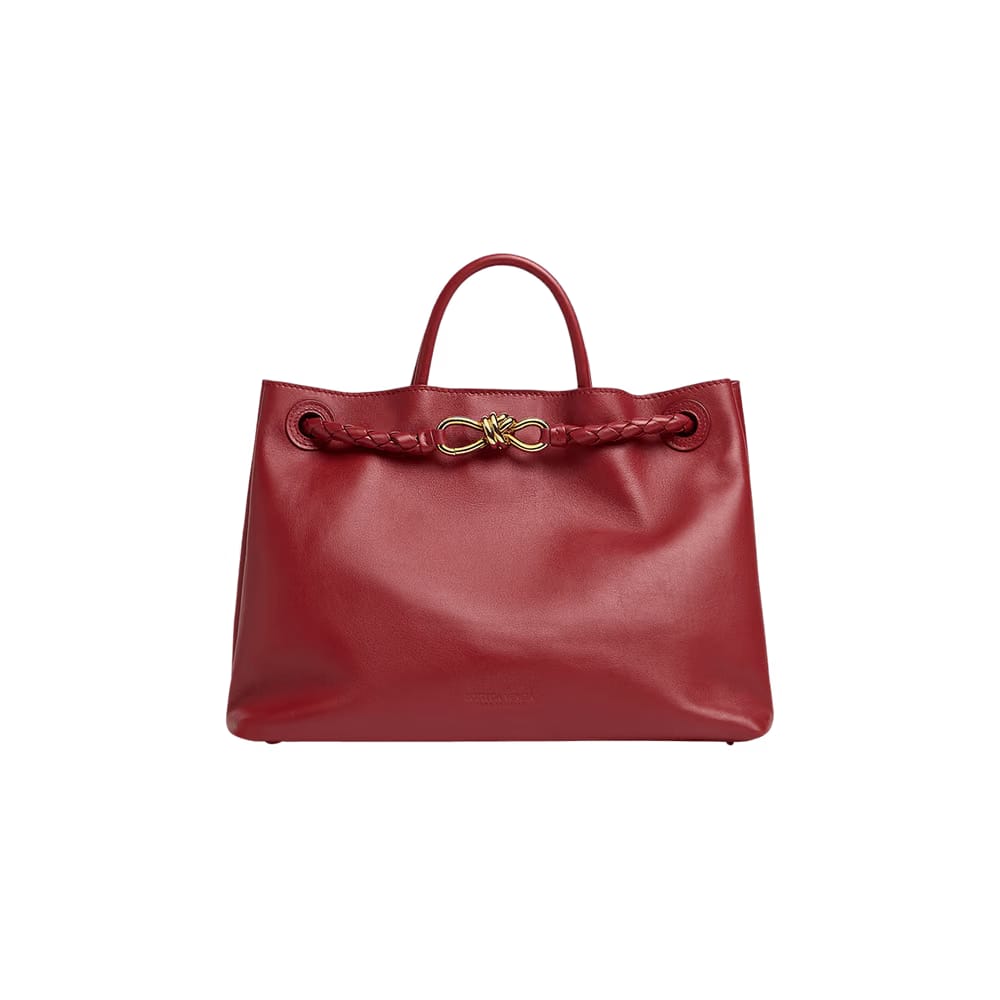 Bottega Veneta Andiamo Bag Rosewood/Space
