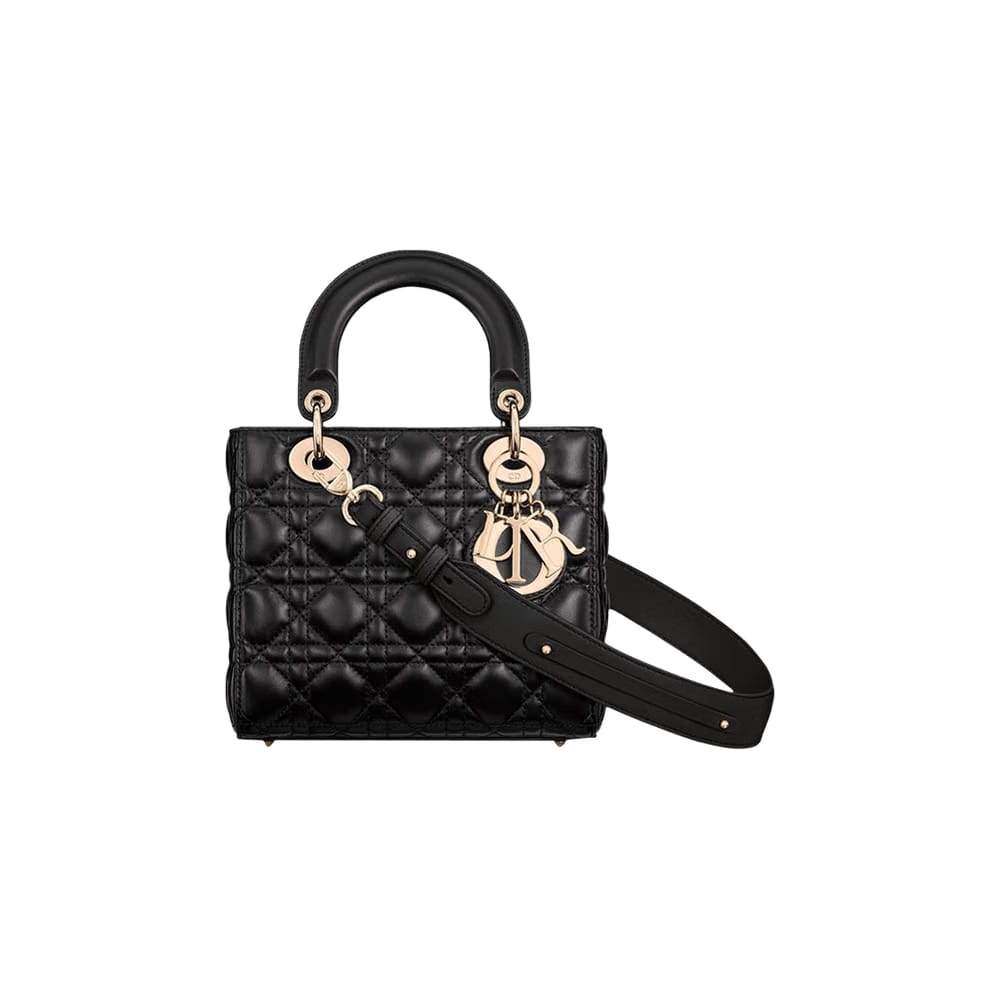 Dior The Lady Dior My ABCDior Bag